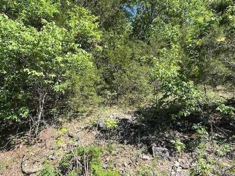 45 Pleasant Ridge DR, Holiday Island, AR 72631