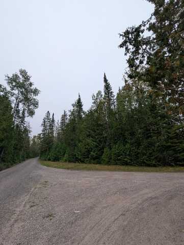 V/L 12.6 Lappan Road, Alpena, MI 49707