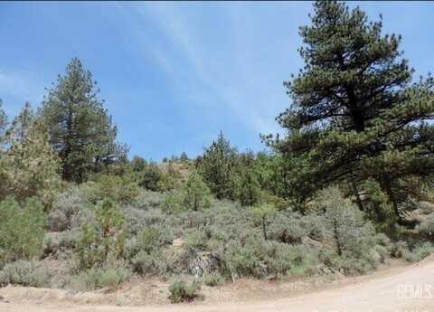 16530 Mountain Climber Way, Tehachapi, CA 93561