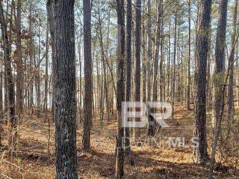 0 Stillwater Lane, Double Springs, AL 35553