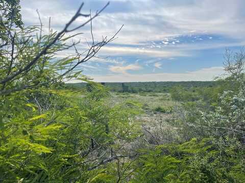 197 Live Oak Spur, George West, TX 78022