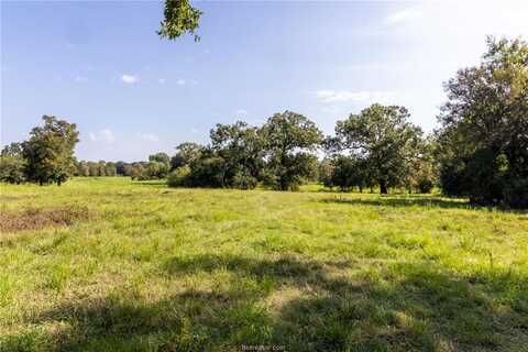 17497 Wilson Pasture Road, Bryan, TX 77808