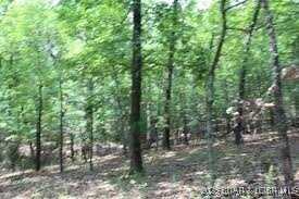 Avalon Way, Gravois Mills, MO 65037