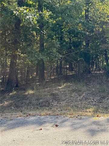 Salem Drive lot: 1093, Four Seasons, MO 65049