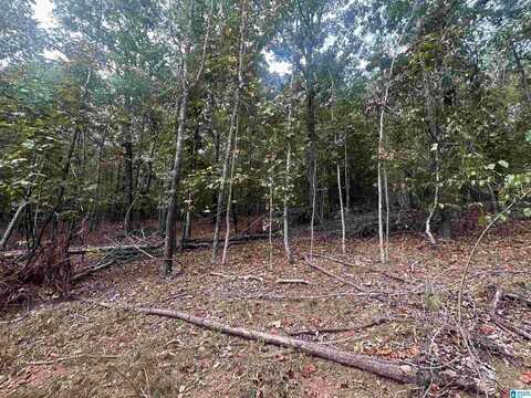 0 SMITH MILL ROAD, DELTA, AL 36258