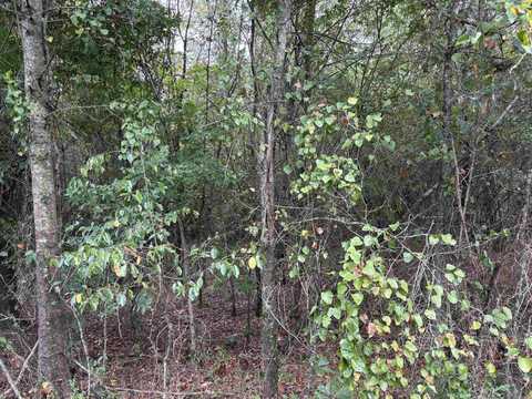 38 Baker Lane, Hattieville, AR 72063