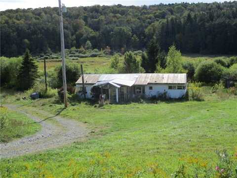 1472 County Road 24, Columbus, NY 13411