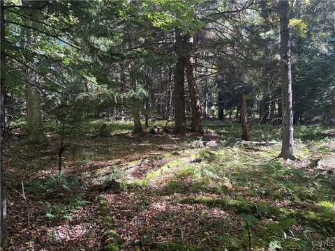 Moehs Road, Webb, NY 13420