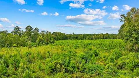 TBD Carter Rd., Loris, SC 29569