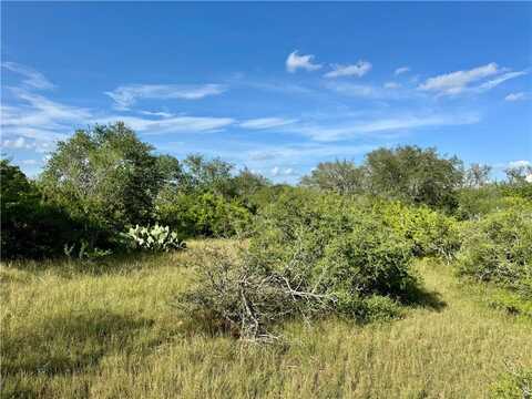 CR 104, Normanna, TX 78142