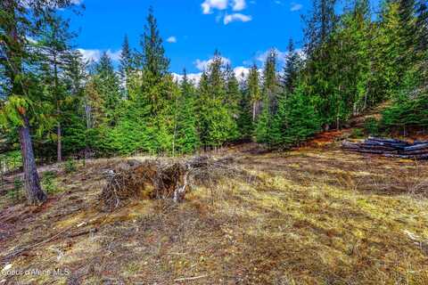 Nna C18 White Cloud Dr, Sandpoint, ID 83864