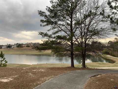 426 Southern Oaks Drive, Macon, GA 31216