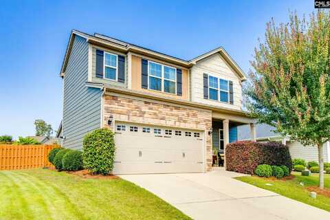 343 Amalfi Drive, Chapin, SC 29036