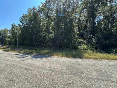 176 Pebble Cove Road, Abbeville, AL 36310