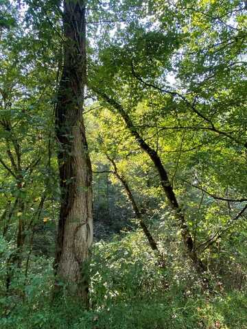 0 Brown Fork Road (Map 057-00-00-009.00), Lowmansville, KY 41232