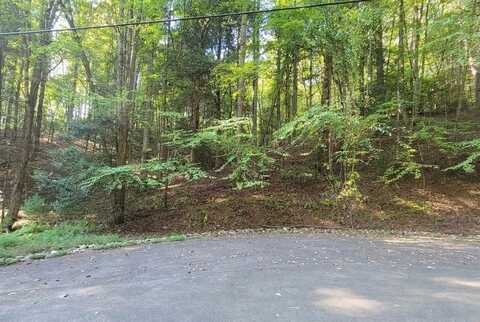 0 Cataula Court, Ellijay, GA 30540