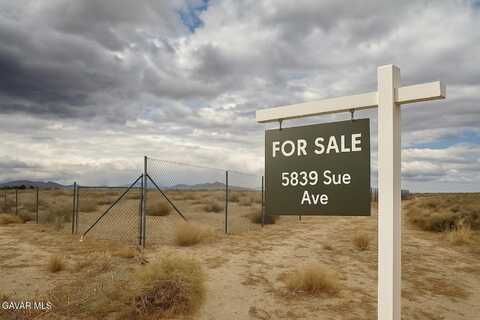 5839 Sue Avenue, Rosamond, CA 93560