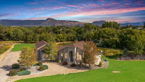 3388 C Road, Palisade, CO 81526