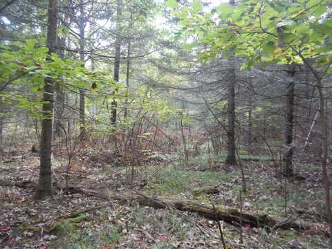 On CANDY LN, Rhinelander, WI 54501