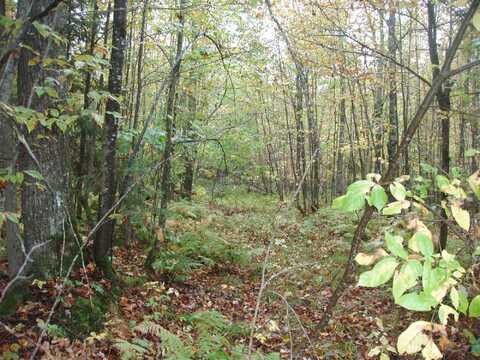 On BASS LAKE RD, Park Falls, WI 54552
