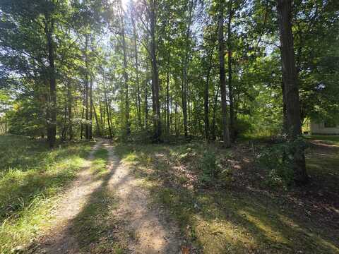 336 Penny Lane, Stanton, MI 48888