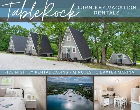 288 Black Oak Resort Lane, Lampe, MO 65681