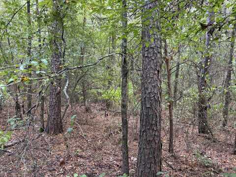 38 Baker Lane, Hattieville, AR 72063