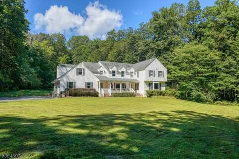 35 N Mount Lebanon Rd, Washington, NJ 07853