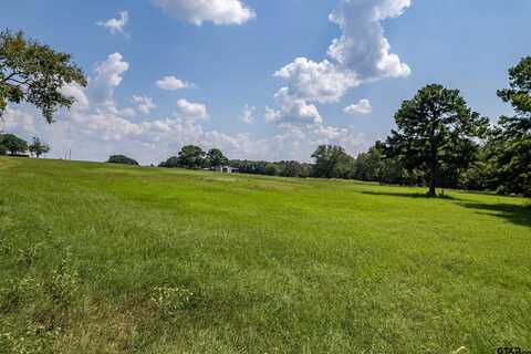 2020 CR 3602, Bullard, TX 75757