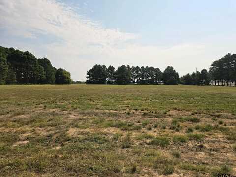 0 Palomino Ct, Athens, TX 75752