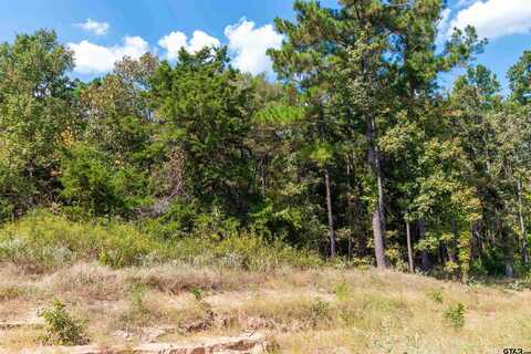 TBD CR 3947, Hawkins, TX 75765