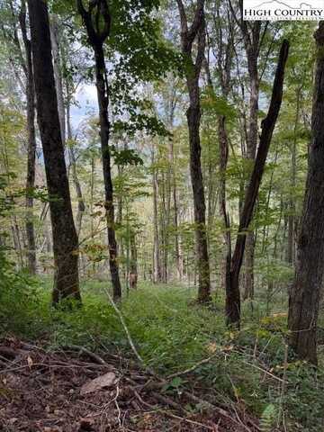 Lot 74a TBD Poplar Trail, Creston, NC 28615