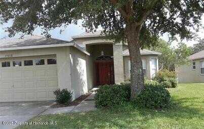 13408 Teaberry Lane, Spring Hill, FL 34609