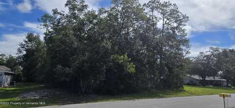 10185 N Majorca Way, Citrus Springs, FL 34434