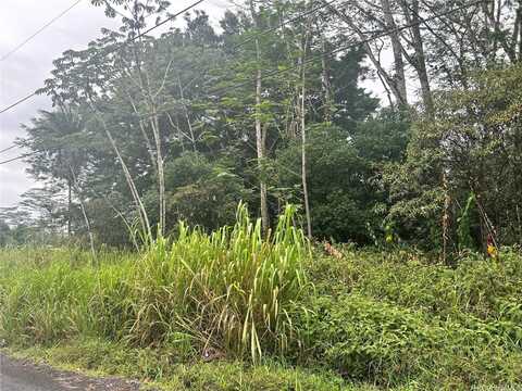 14th Avenue, Keaau, HI 96749