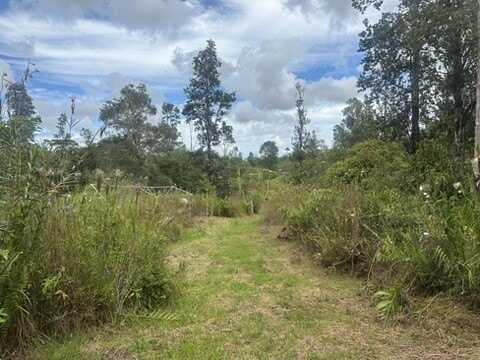 ROAD 2 (AO), Mountain View, HI 96760