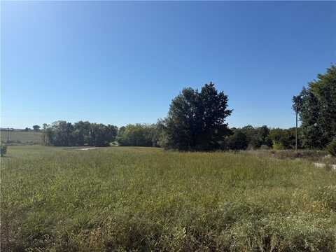 Cardinal Drive, Odessa, MO 64076