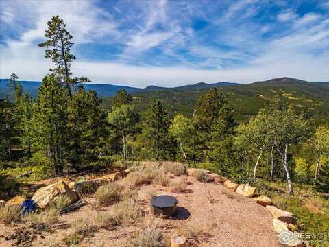 1601 Osage Trl, Red Feather Lakes, CO 80545