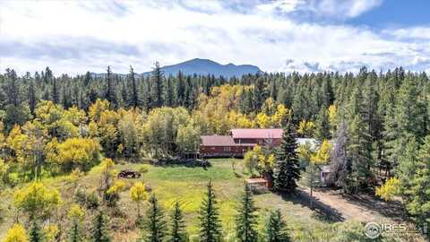188 Ponderosa Way, Nederland, CO 80466