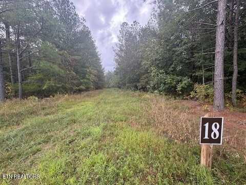 318 Rhodas Way, Sunbright, TN 37872