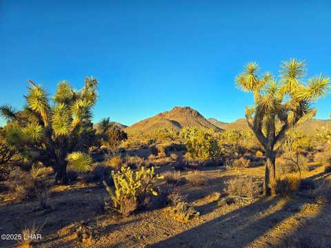 2886 S Cattle Crossing Rd, Yucca, AZ 86438