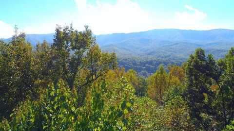 301 Matterhorn Drive, Gatlinburg, TN 37738