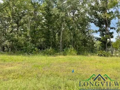 Tbd Briar Ridge Trail, Longview, TX 75602