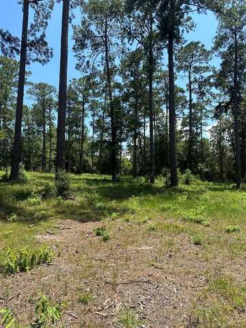 Lot 2 Pr 6028, Brookeland, TX 75931