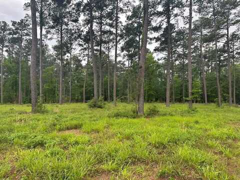 R22310 Pr 6028, Brookeland, TX 75931