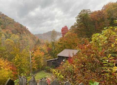 1085 Spring Branch Road, Jeremiah, KY 41826