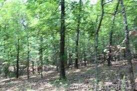 0 Avalon Way, Gravois Mills, MO 65037