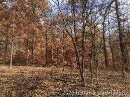 11 Little Lane, Gravois Mills, MO 65037
