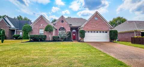 10323 AUTUMN BLUFF, Cordova, TN 38018