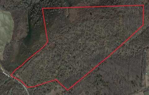 000 TEAGUE, Medon, TN 38356